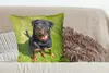 MuchoWow® Zierkissen Sofakissen Wohnzimmer Dekokissen 60x60 Produktbild-Vorschau 4