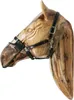 Kentucky Horsewear Anti Fly Nose Net (filet pour nez de Voir les images du produit 1