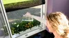 tesa Fliegengitter für Fenster OPEN/CLOSE 1,30 m x 1,5 m Produktbild-Vorschau 15