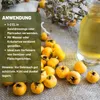 Weißdorn Essig 250 ml – 100 % Natürlicher Alıç Sirkesi aus frischen Weißdornfrüchten | Traditionell  Produktbild-Vorschau