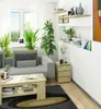 A modern living room scene with a gray sofa, coffee table, and plants. Produktbild-Vorschau