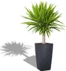LECHUZA-Vase à plantes CUBICO Color 30 gris ardoise | Vase Voir les images du produit 22