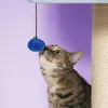 Europet Bernina Kratzbaum Berry Breeze blau, Maße: 50 x 50 Produktbild-Vorschau 4