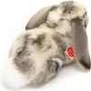 Teddy Hermann Widderkaninchen, Kuscheltier, Stofftier, Anteprima dell’immagine prodotto 3