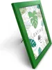 A green picture frame with a tropical leaf pattern insert, displayed on a white background. Produktbild-Vorschau