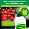 Purgrün Anthurium-Dünger | Flüssigdünger für Blüten & Produktbild-Vorschau 4