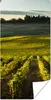 MuchoWow® Poster Toskana - Landschaft - Wein 60x120 cm - Produktbild-Vorschau 1