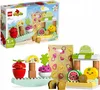 Stavebnica LEGO DUPLO Môj prvýfarmársky trh 10983 (40 Náhľad obrázku produktu 27