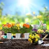 A collection of potted flowers and gardening tools arranged on a wooden surface with a sunny, blurred garden background. Produktbild-Vorschau