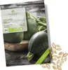 Zucchini Samen Rund (Tondo di Nizza, 5 Korn) - Zucchini Produktbild-Vorschau 1