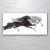 Coloray Acrylbild 120x60  Wandbild Acrylbilder Chinesischen Produktbild-Vorschau 2
