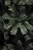 Triumph Tree Forrester Arbre de Noël artificiel - H155 x Voir les images du produit 2