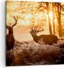 Bild auf Leinwand - Leinwandbild - Deer Heidekraut Tier - Produktbild-Vorschau 1