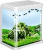 A white aquarium with a naturalistic aquascape featuring rocks and lush green plants, with a school of small black fish swimming inside. Voir les images du produit