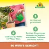 Neudorff Azet Zitrus- & Mediterran PflanzenDünger – 100% Produktbild-Vorschau 5