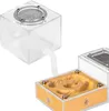 Ant Expert New Land - Modulo Arena per il formicarium Ant Anteprima dell’immagine prodotto 2