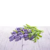 Air Wick EA_3073412, Duftflasche, Wärme-Aroma-Diffusor Produktbild-Vorschau 15