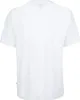 DICKIES - T-shirt uomo Summerdale - Taglia L Anteprima dell’immagine prodotto 16