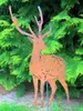 A metal deer garden stake is placed in front of a green hedge. Produktbild-Vorschau