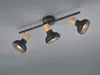 TRIO Reality R81523032 LATIKA stropné bodové svietidlo/spot Náhled obrázku produktu 2