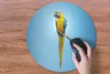 MuchoWow® Mauspad Mousepad Papagei - Zweig - Blau 50x50 cm Produktbild-Vorschau 3