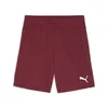 Puma Teamgoal Shorts Kinder - Bordeaux Produktbild-Vorschau 1