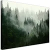 Leinwandbild Wald im Nebel 90x60 Feeby Grün bild für die Produktbild-Vorschau 1