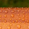 A close-up view of water droplets on a textured wooden surface. Produktbild-Vorschau