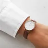 Daniel Wellington - DW00100175 - Horloge met armband - Productafbeelding-voorbeeld 5
