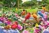 Eurographics Puzzle Gartenvögel Treffen, 2000 Teile, 68 x Produktbild-Vorschau 2