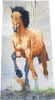 Pferdebadetuch braun 70 x 140 cm Produktbild-Vorschau 1