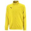 PUMA Herren Sport Pullover Liga Sideline Hoodie Fitness Produktbild-Vorschau 13