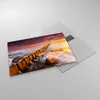 Bilder auf glas - Boot Landschaft Meer Ostsee - 70x50cm - Produktbild-Vorschau 2