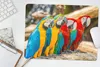MuchoWow® Mauspad Mousepad Vögel - Papagei - Tropisch - Produktbild-Vorschau 5