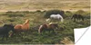 MuchoWow® Poster Pferde - Gras - Island 40x20 cm - Poster Produktbild-Vorschau 1