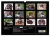 Faszination Jagdhund - Kleiner Münsterländer (Wandkalender Produktbild-Vorschau 2