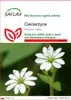 SAFLAX - ciecierzyca - 1000 Nasiona - Stellaria media Podgląd zdjęcia produktu 1