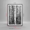 Gerahmtes Poster - Schwarzer Rahmen - Birken Wald Monochrom Produktbild-Vorschau 5