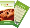Kürbis Roter Zentner Samen - Cucurbita maxima - Kürbissamen Produktbild-Vorschau 2
