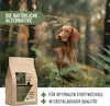 REAVET Hunde Leckerlis mit Hanf 500g, Wohlfühl Sticks - Produktbild-Vorschau 4