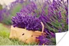 MuchoWow® Poster Frischer Lavendel in einem Korb 90x60 cm - Produktbild-Vorschau 1