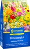 Kiepenkerl Blumensamen Blütenteppich 40 m² Produktbild-Vorschau 3