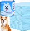 A package of pet training pads and a stack of the pads themselves, with a dog in the foreground. Produktbild-Vorschau