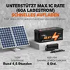 Batterie LiFePO4 LiTime 36 V 60 Ah pour voiturette de golf Voir les images du produit 3