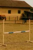 Hobby Horse Hurdle 160 cm 120 cm bleu pour enfants et Voir les images du produit 8