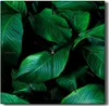 Coloray Hodiny Unikátní 30x30 cm  Tiché hodiny Pro obývací Produktbild-Vorschau 1