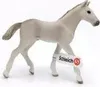 Schleich 17079 - Farm World - Holsteiner Fohlen (13860) Produktbild-Vorschau 3