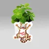 Coleus canin - Verpiss-Dich - Pflanze - 12 Pflanzen Produktbild-Vorschau 3