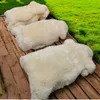 TOP Schaffell | 100cm | Echtes Lammfell |Teppich Deko | Produktbild-Vorschau 7