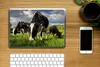 MuchoWow® Laptop Aufkleber Sticker Cover Kühe - Tiere - Produktbild-Vorschau 2